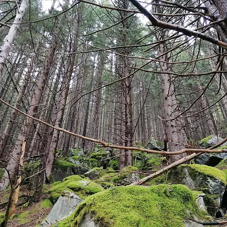 Rudolph Hotel Gaschurn